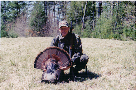 Daniel Tritt Longbeard